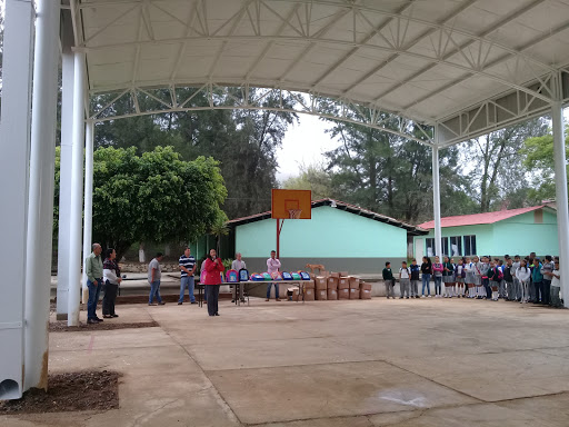 Ignacio Allende - Visual