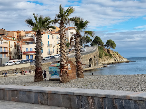 Plage de Banyuls sur Mer - Thumbnail
