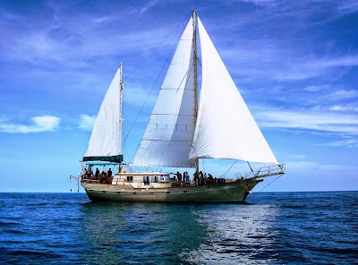 Photos of Calypso Sailing & Pirates Choice
