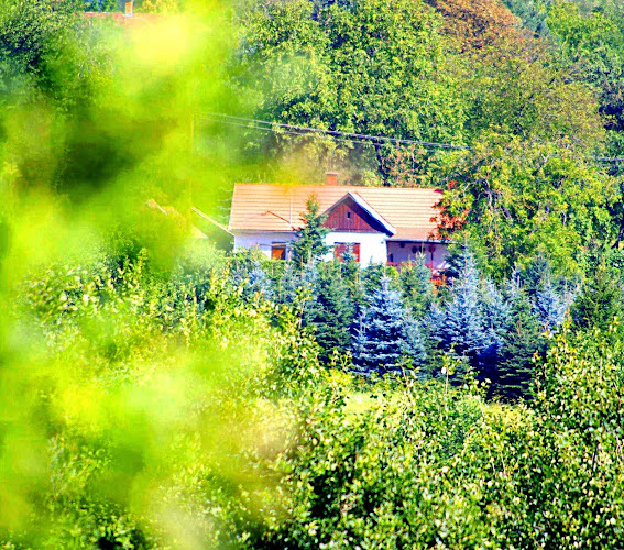 Comentarii opinii despre Csavargó tanya