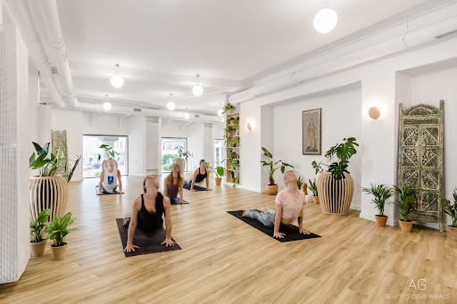 Yoga Republic plac Zbawiciela | Szkoła Jogi Warszawa