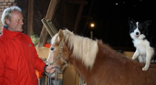 SanaAnimal Reittherapie Ausbildung Haus Pesch - Thumbnail