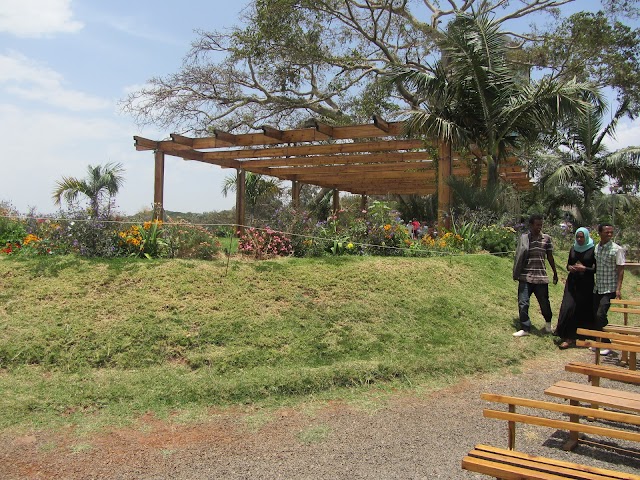 Desset Lodge