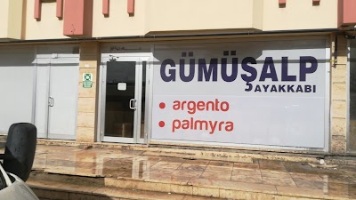 Gümüş Alp ayakkabı