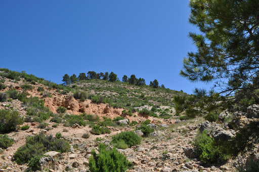 Los Palomares - Thumbnail