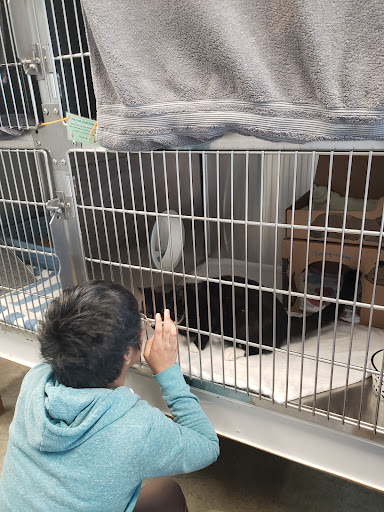 DCAS - Delta Community Animal Shelter - Thumbnail