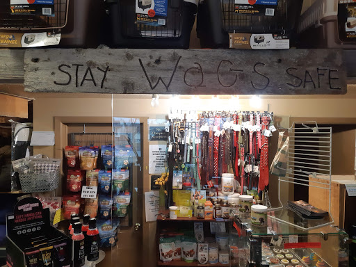 Wags Pet Salon - Thumbnail
