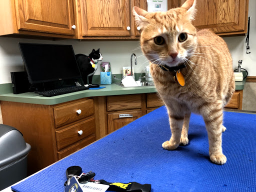 Colonial Park Animal Clinic