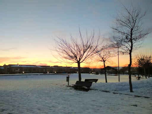 Las Lomas Park