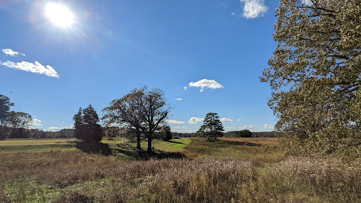 Redoubt 10 - Visual