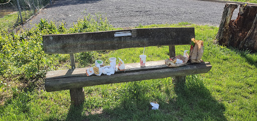 Cemetery Wachenbuchen (new))