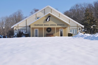 veterinary-care