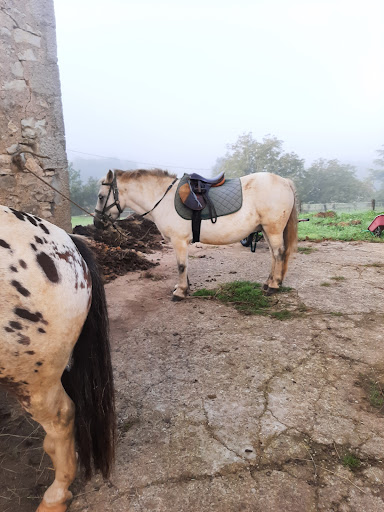 Ranch De Chadenac - Thumbnail