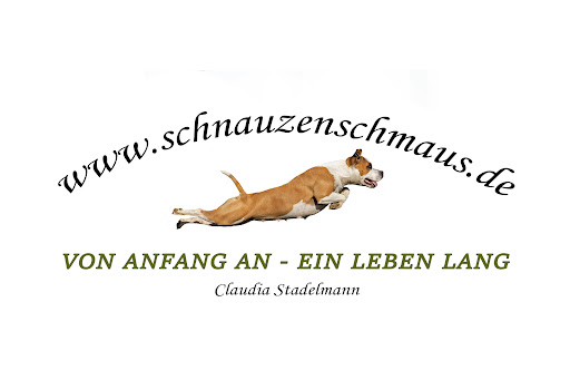 Schnauzenschmaus-Vital - Visual