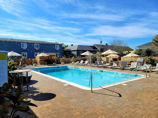 Daunt's Albatross Motel - Thumbnail