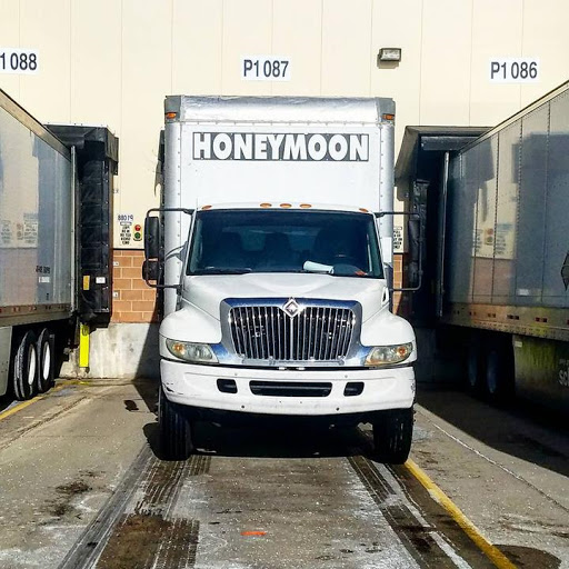 Honeymoon Hauling Sprint Van - Freight Expeditors - Thumbnail