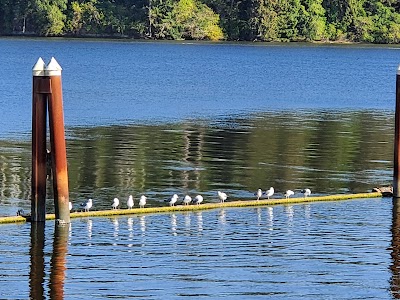 Port of Siuslaw Campground