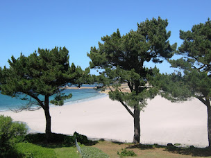 Photo n°4 de Le Turquoise - Gîtes de France à Trévou-Tréguignec (Lodge)