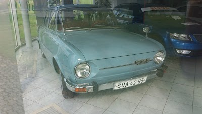 car-dealer
