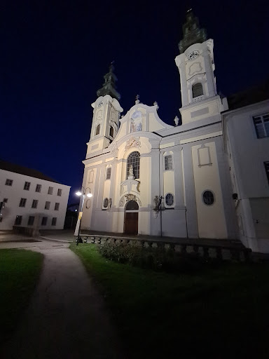 Rottaler Dom - Visual