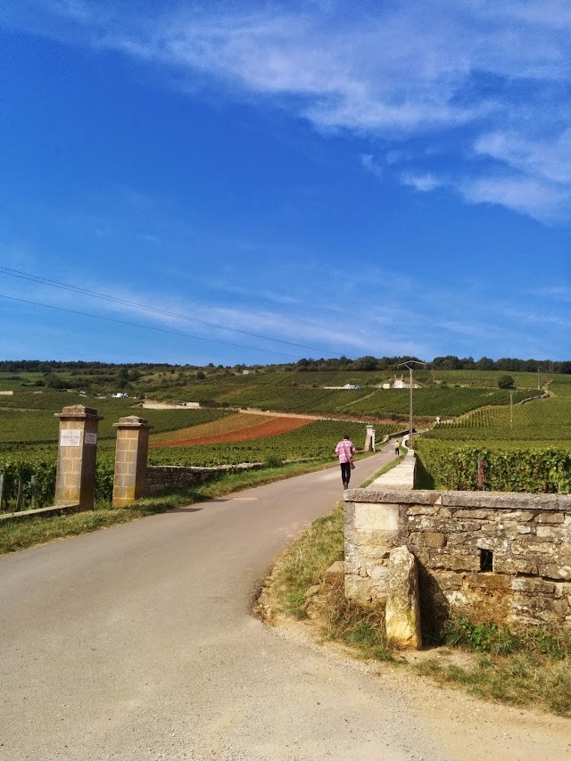 Domaine Romanée Conti