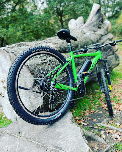 Nippon e-bikes - Visual