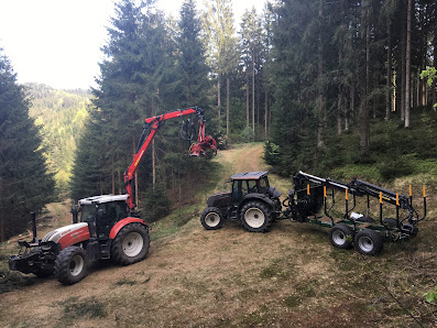 Forstservice Prinz Priehetsberg 15/2, 4323 Münzbach, Österreich
