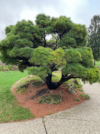 Peace (Rock) Garden Gallery - United States