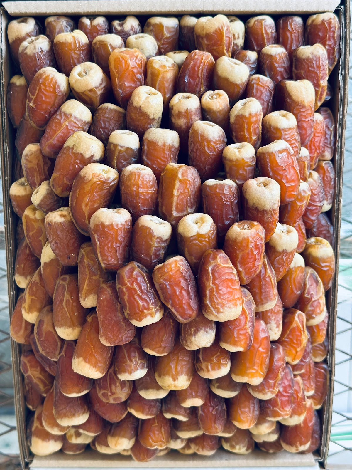 مصنع الدلم - صورة 2