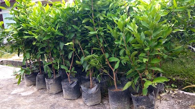 Photos of Perum Asta Gardenia