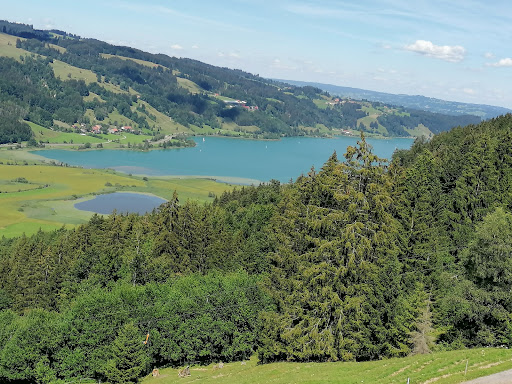 Parkplatz Alpsee Bergwelt