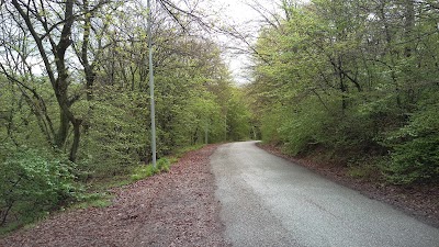 Photos of Jungle Park Shahid Zare