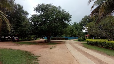 Photos of Dambulla Fish Breeding Center (NAQDA)