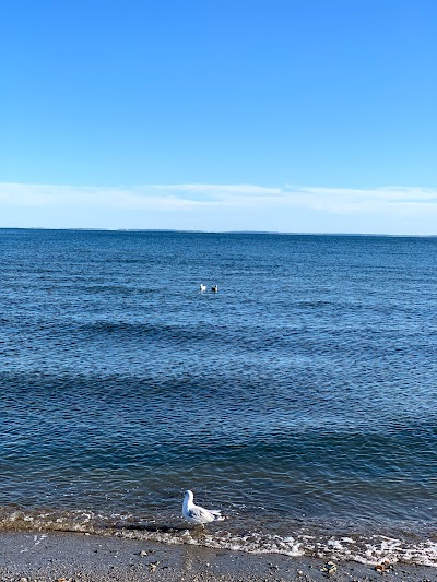 Charles Island Natural Area Preserve