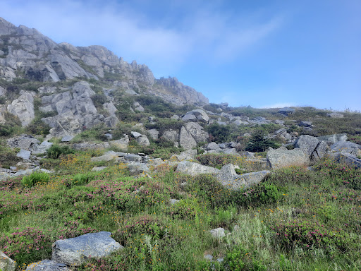 Long shore lookout - Thumbnail