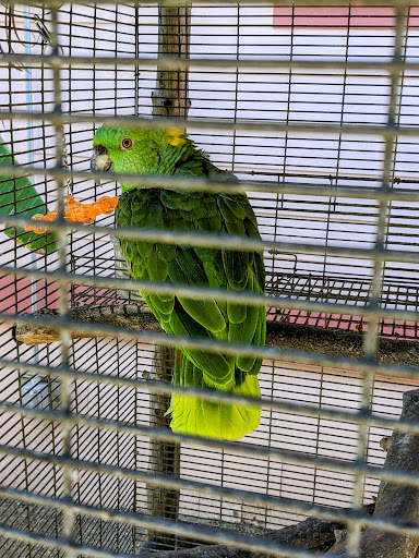 Santa Barbara Bird Sanctuary Gallery - United States