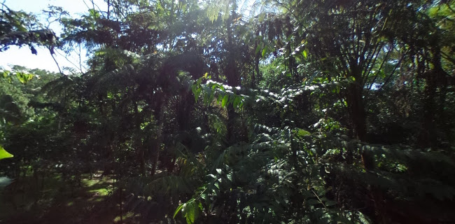 Horarios de Kuyana Amazon Lodge