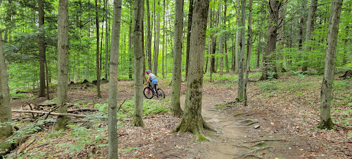 Mont Oak