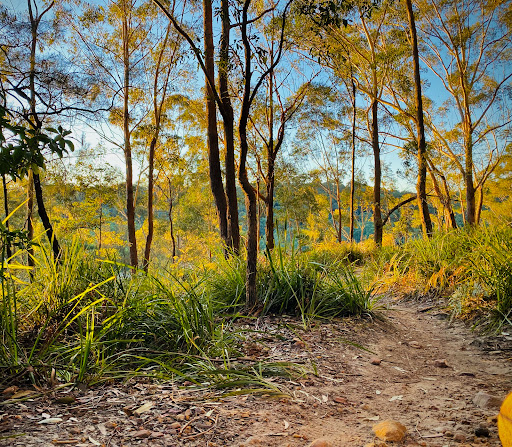 Hornsby Mountain Bike Trail