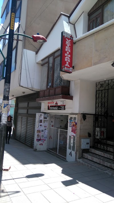 Photos of Su Nueva Cl&igrave;nica Veterinaria