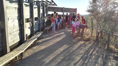 Photos of Natural Reserve Diaccia Botrona