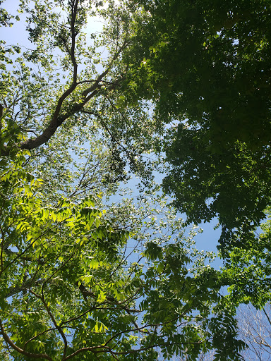Clay Park - Visual