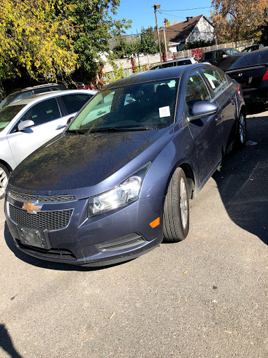 Ammex Fine Auto - Thumbnail