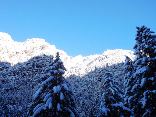 Alpe Sasso Bisolo - Thumbnail