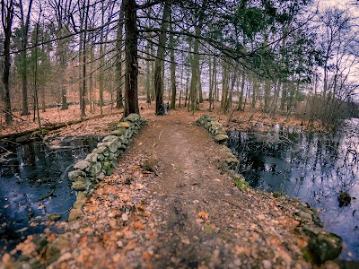 Vineyard Hill Reservation