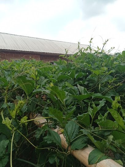 Skan Agro Farm Outlet