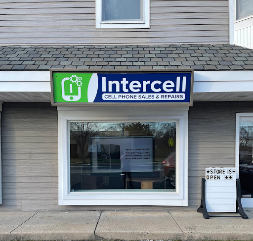 InterCell Electronics - Visual