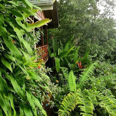 Photos of Las Cotingas Lodge