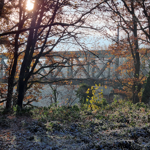 Eikenbos - Visual