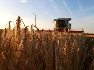 Photo n°1 de Ferme de la Pommeraye à Bazenville (Ferme)